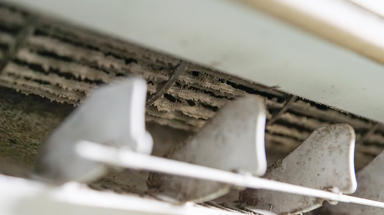 Mold Prevention and Remediation in HVAC Systems